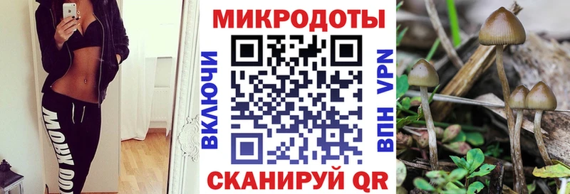 Псилоцибиновые грибы Cubensis  Кремёнки 